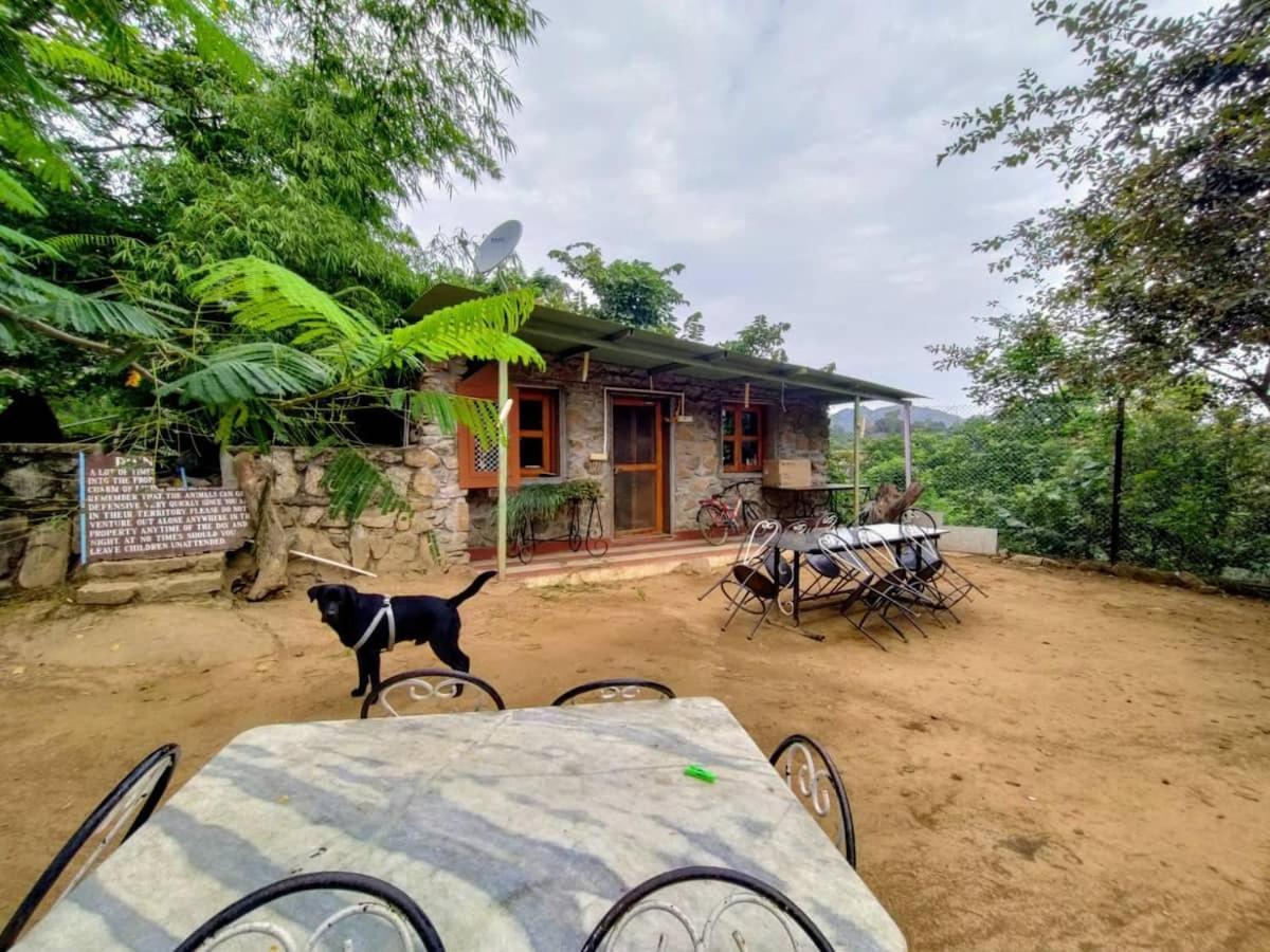 Dude Ranch Villa Маунт Абу Екстериор снимка